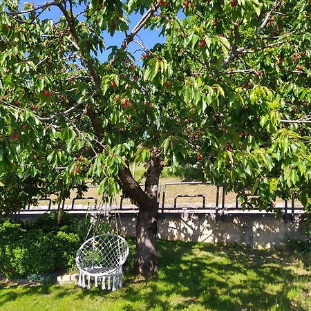 شقة Casa Zucol Sarnonico المظهر الخارجي الصورة